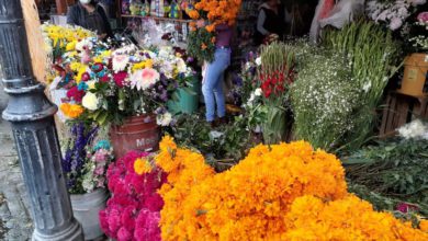 Vendedores de flores temen por las ventas