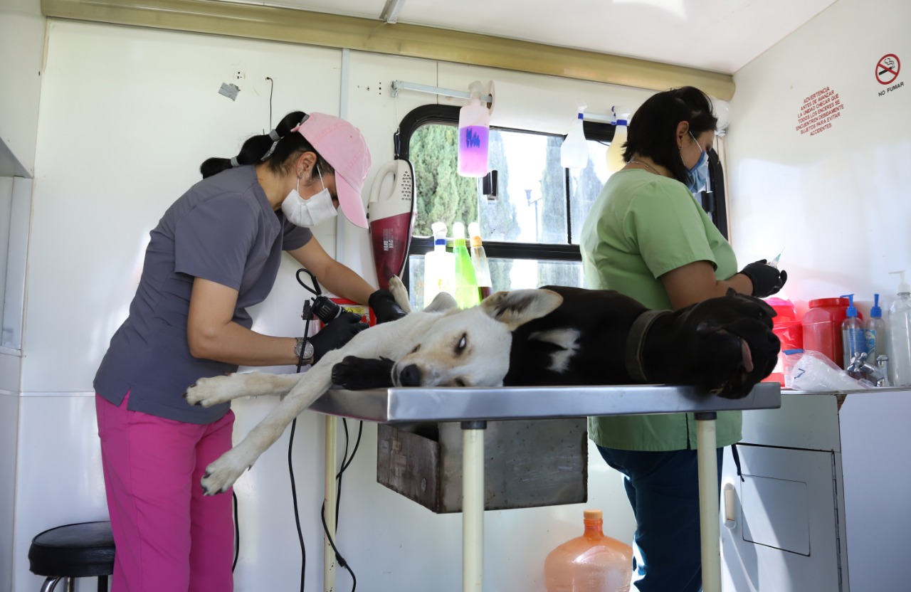 Centro de Control y Bienestar Animal de Toluca