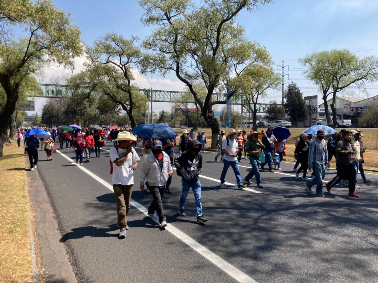 Marchan en Toluca