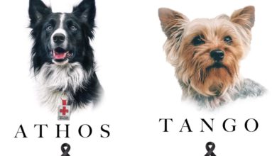 Tango y Athos, perros rescatistas