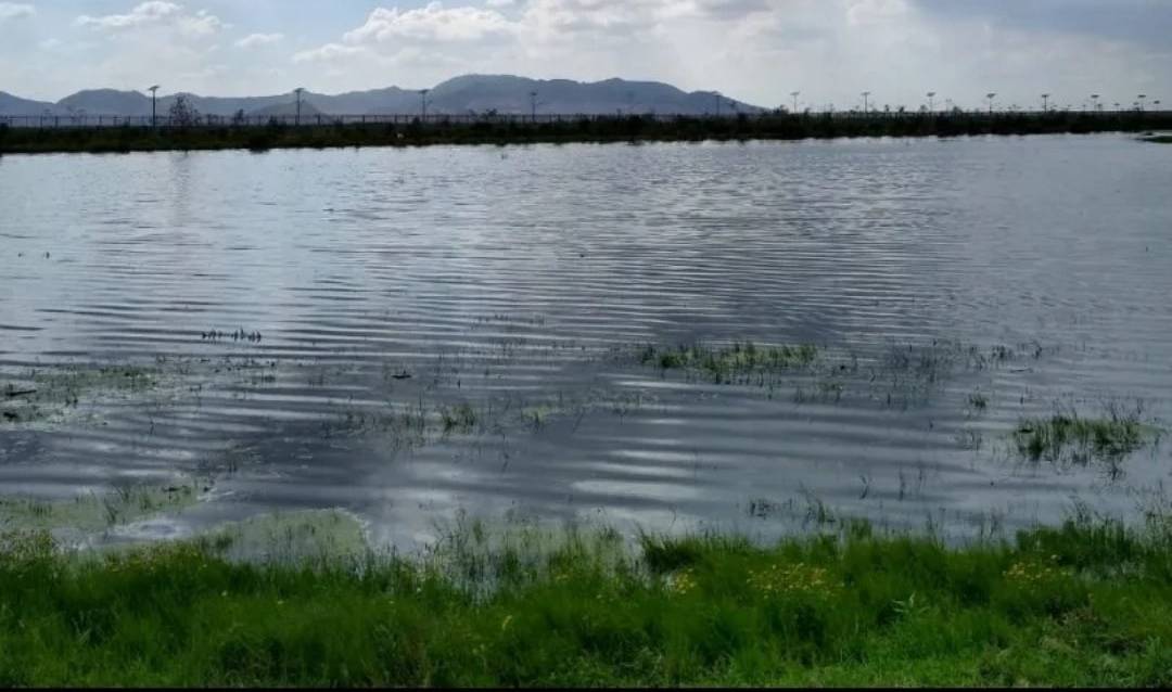 Lago de Texcoco