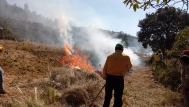 incendios forestales en el Edomex