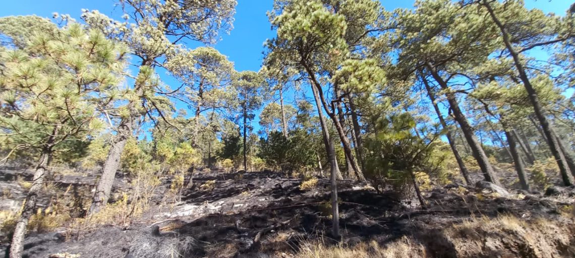 incendios forestales en el Edomex 