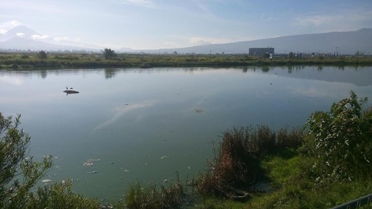 Laguna de Xico