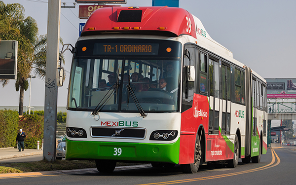 Autobuses del Edomex