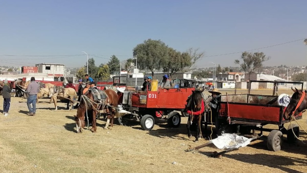 carretas de recolección de basura con caballos en Tultepec