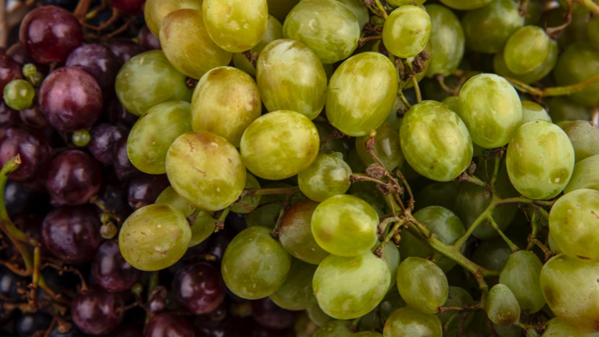 Precio de uvas se dispara por celebraciones de Año Nuevo