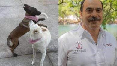 Foto de Buba y Canela, las perritas que habrían sido asesinadas por el alcalde de Tangancícuaro.