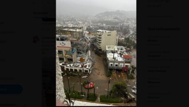 Desde árboles caídos, daños a viviendas, hoteles, hospitales y vehículos, hasta los cortes de energía eléctrica, telefonía, internet y agua, es el saldo que dejó el meteoro categoría 5 que azotó el Puerto de Acapulco. Foto: Especial