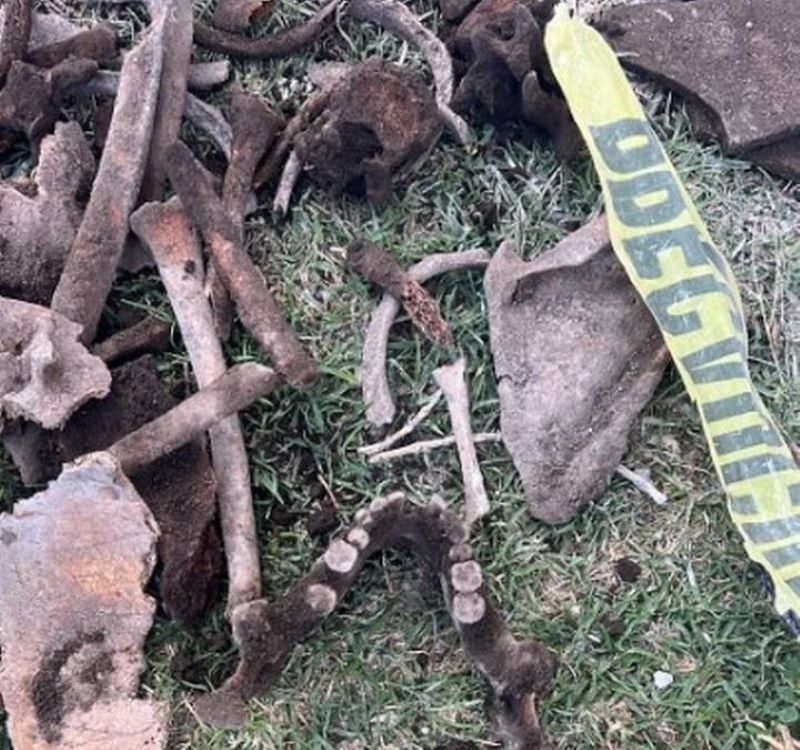 Tras las inspecciones realizadas en el lugar, el MP confirmó que los restos óseos encontrados por lo menos son de tres personas. Foto: Especial